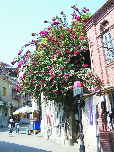 廈門，美麗的海濱小城